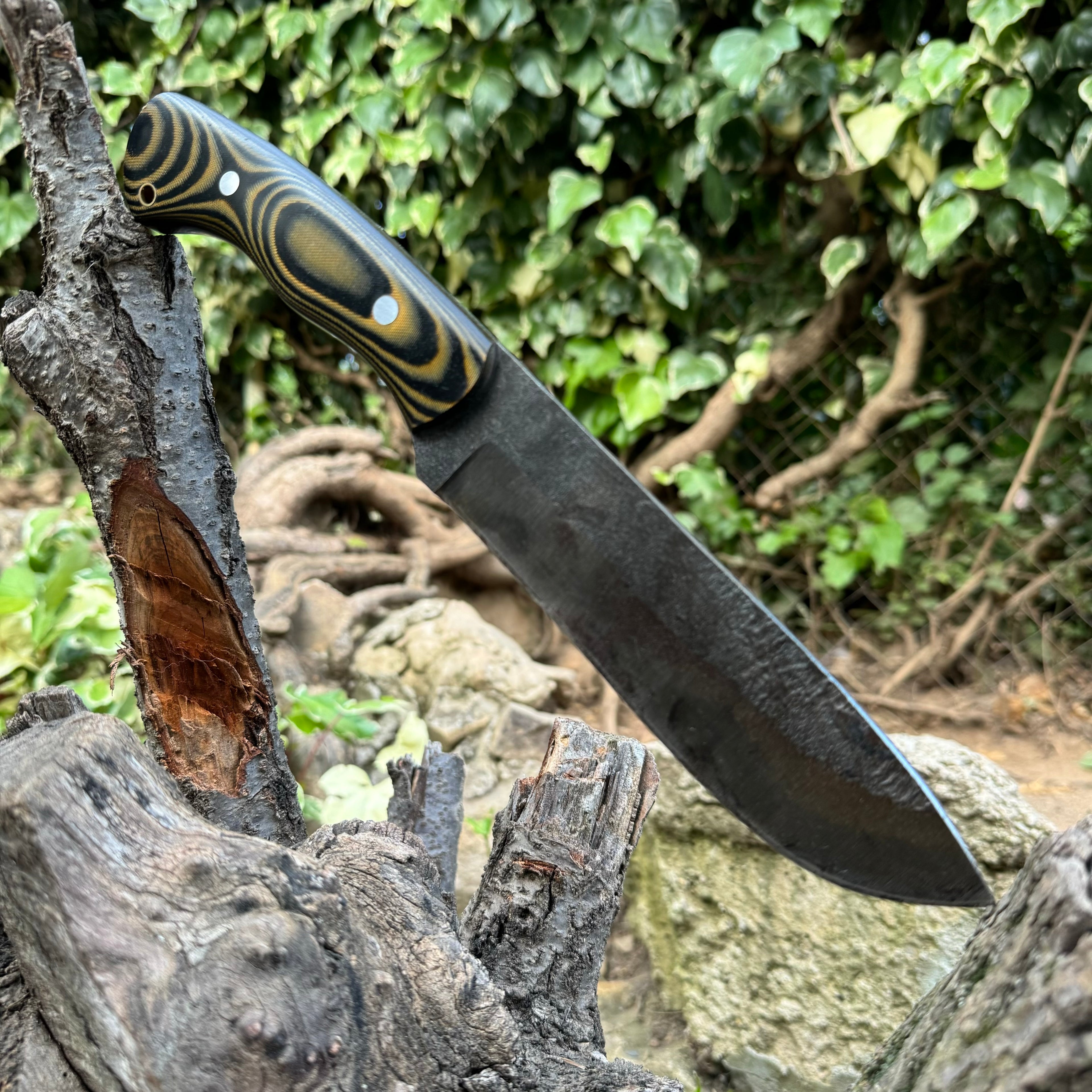 Cuchillo Diente de Sable
