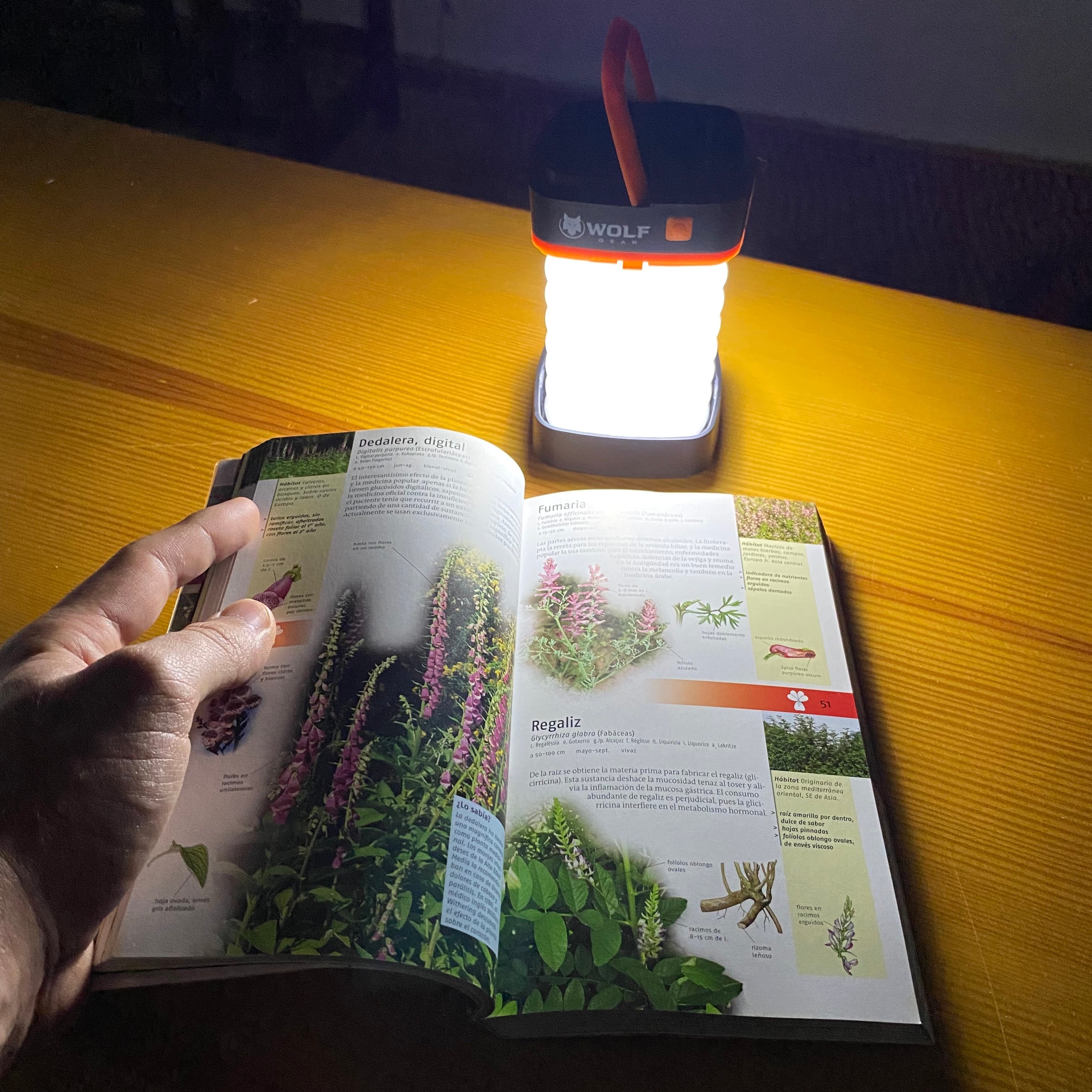 Luz Multifunción