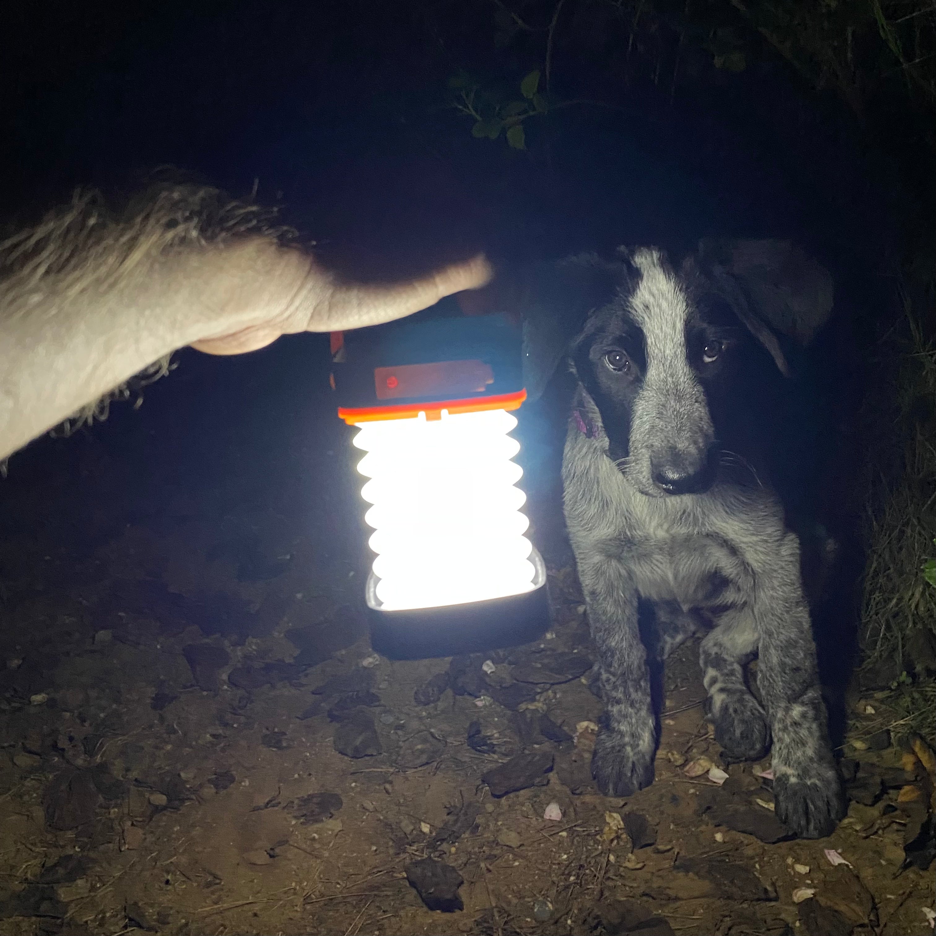 Luz Multifunción