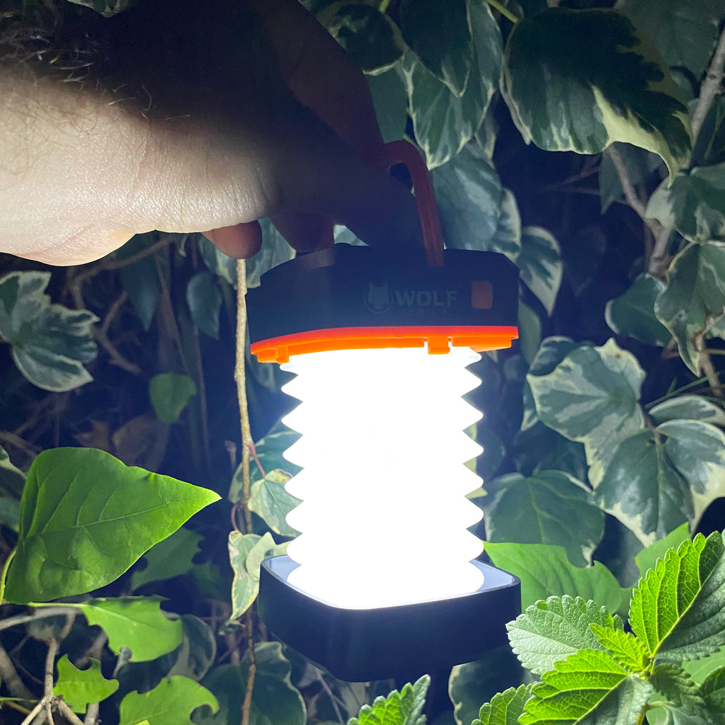 Luz Multifunción