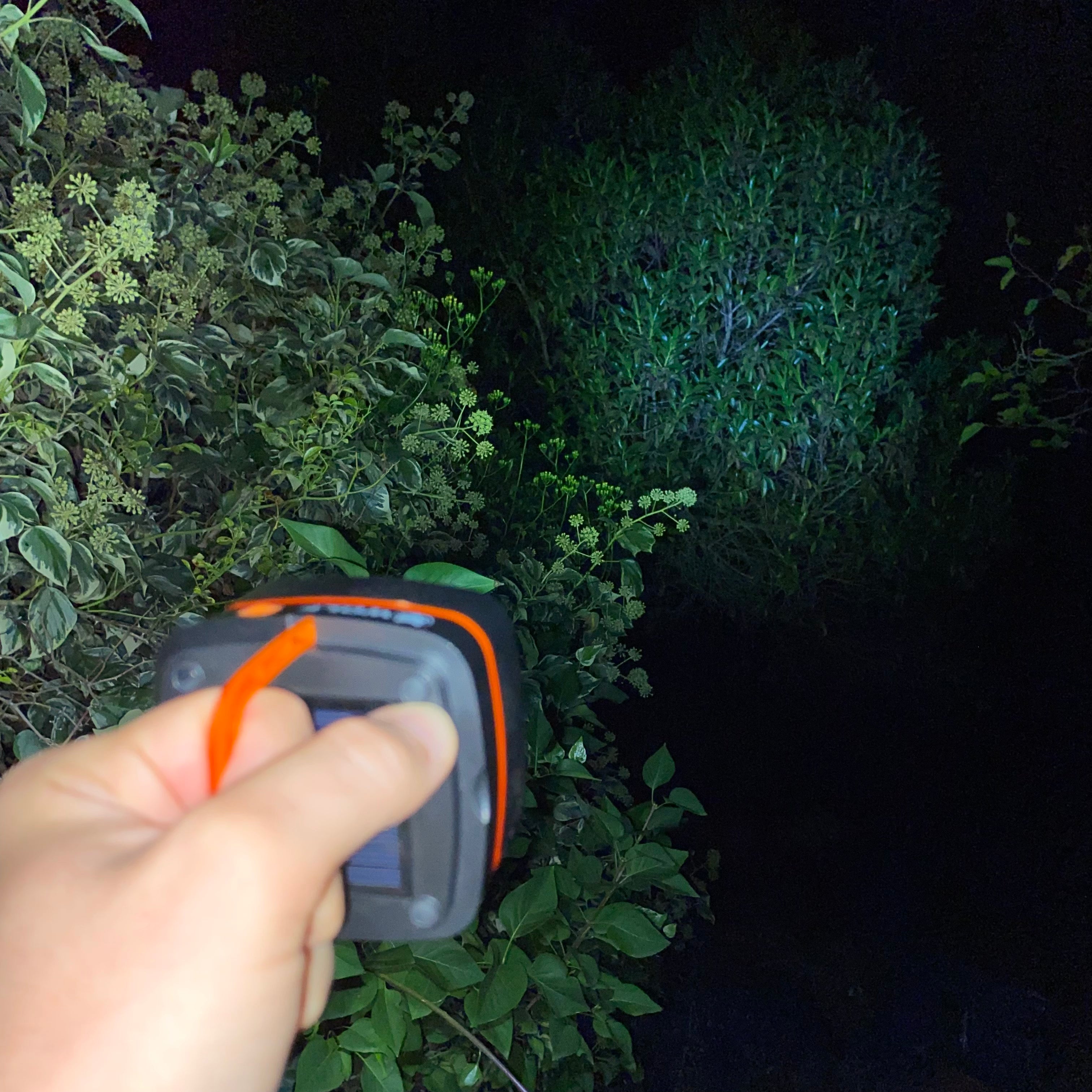 Luz Multifunción