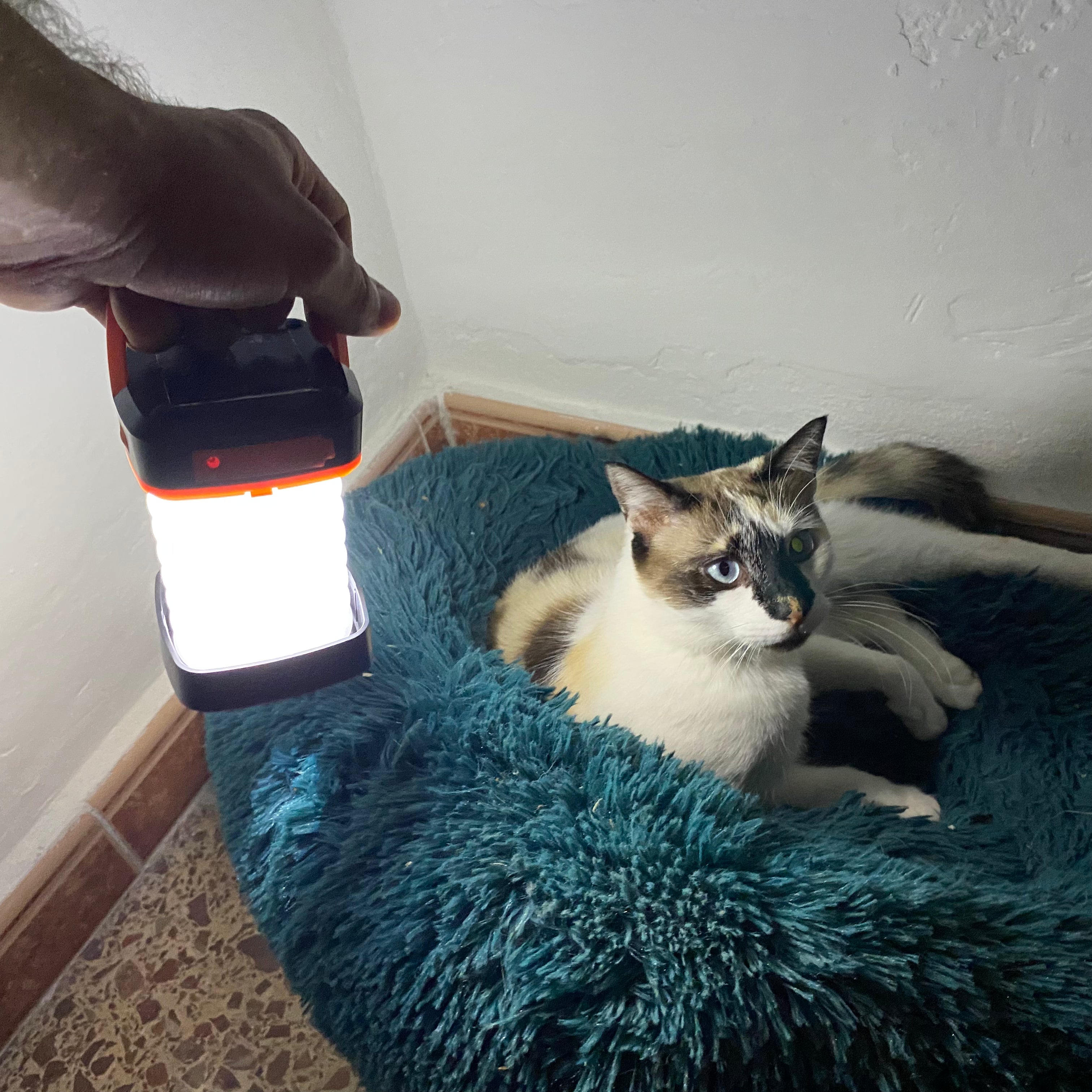 Luz Multifunción