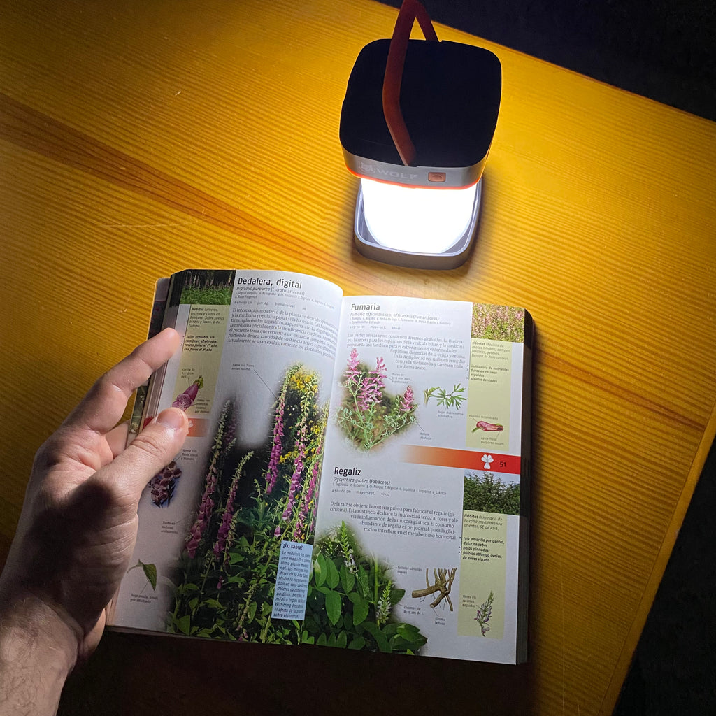 Luz Multifunción
